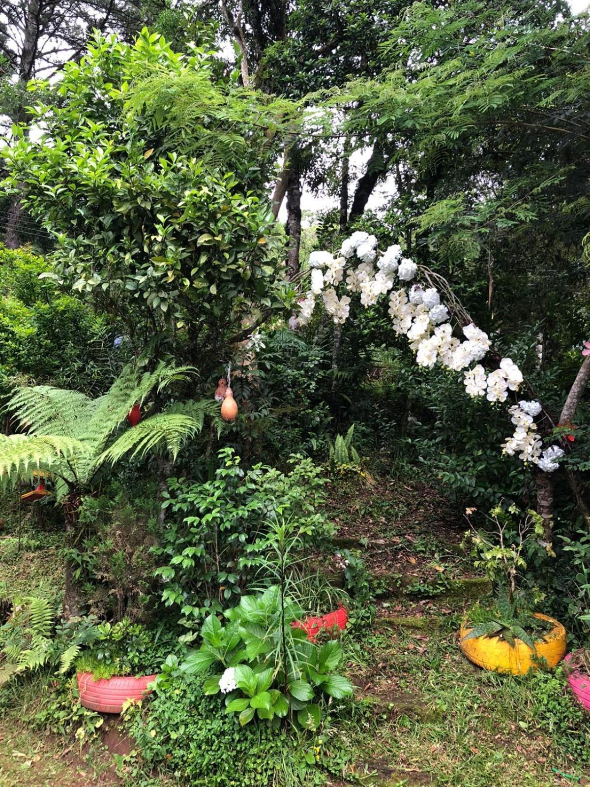 Recanto Familia Weiss Gramado Bagian luar foto